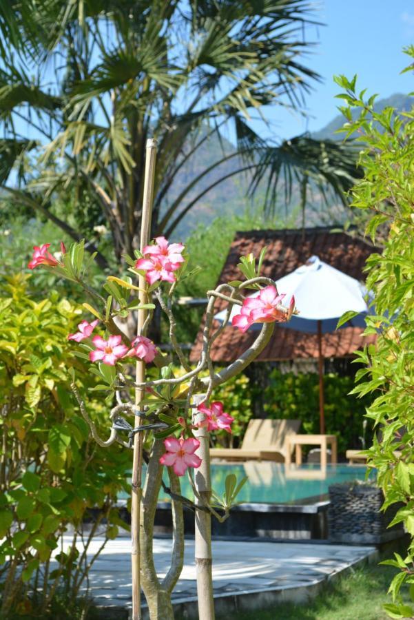 Sunia Loka Bungalows & Dive Center Pemuteran Exterior foto