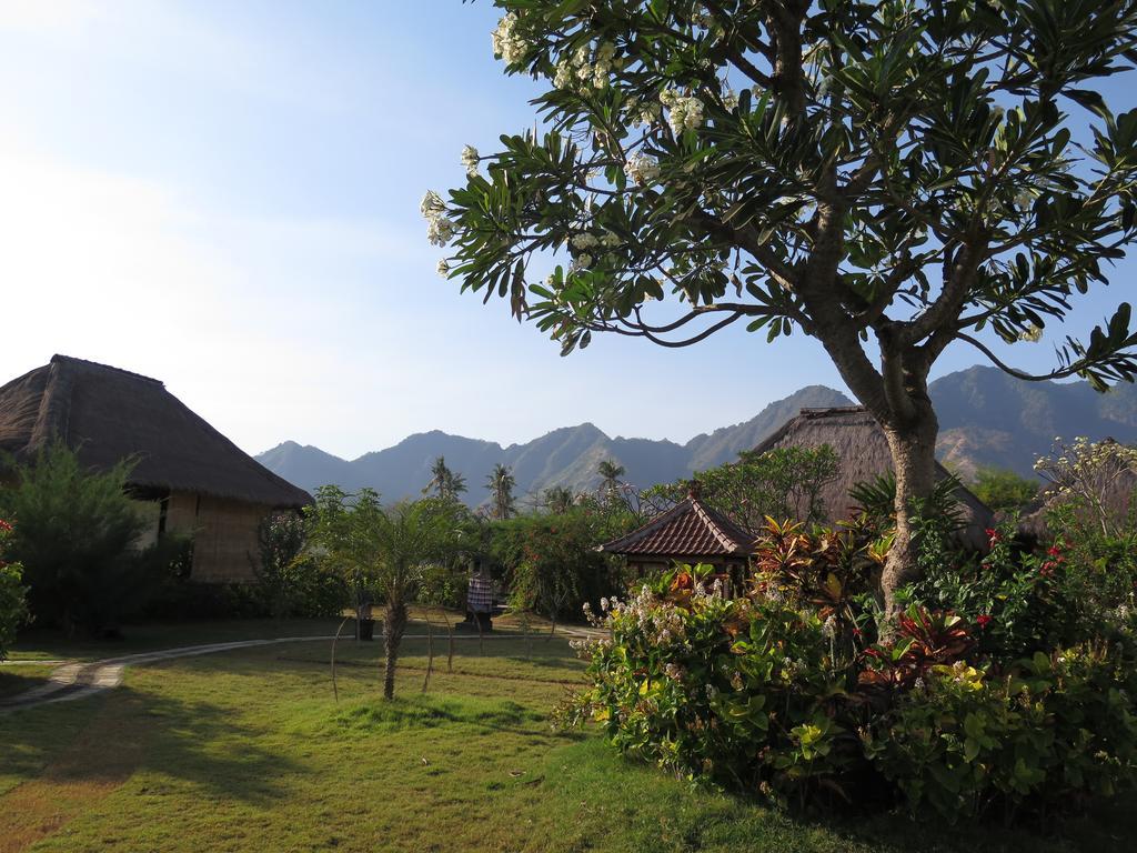 Sunia Loka Bungalows & Dive Center Pemuteran Exterior foto