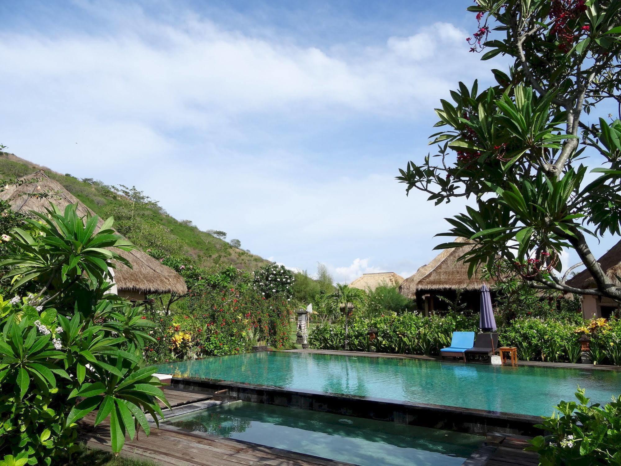 Sunia Loka Bungalows & Dive Center Pemuteran Exterior foto