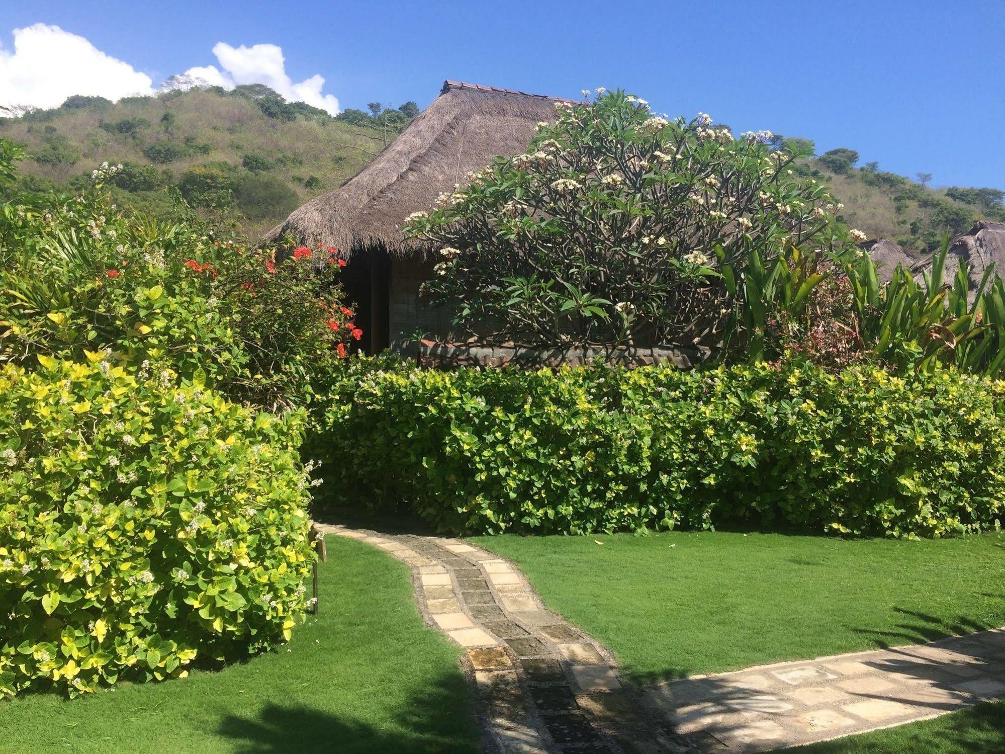 Sunia Loka Bungalows & Dive Center Pemuteran Exterior foto